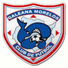 Ballenas Galeana Morelos